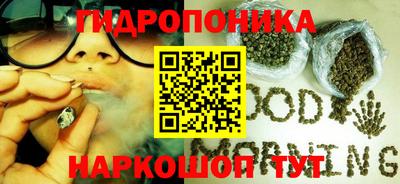 mix Новодвинск