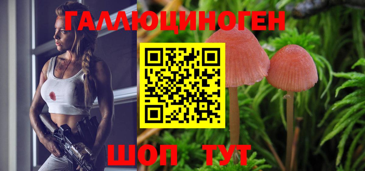 Топки  Псилоцибиновые грибы Cubensis  Вход с VPN  что такое наркотик  Галлюциногенные грибы MAGIC MUSHROOMS 